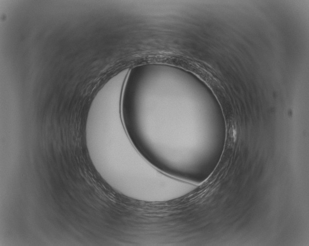 X0000083601252200702090858