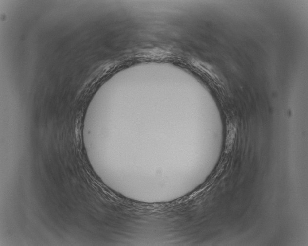 X0000083601254200702090858
