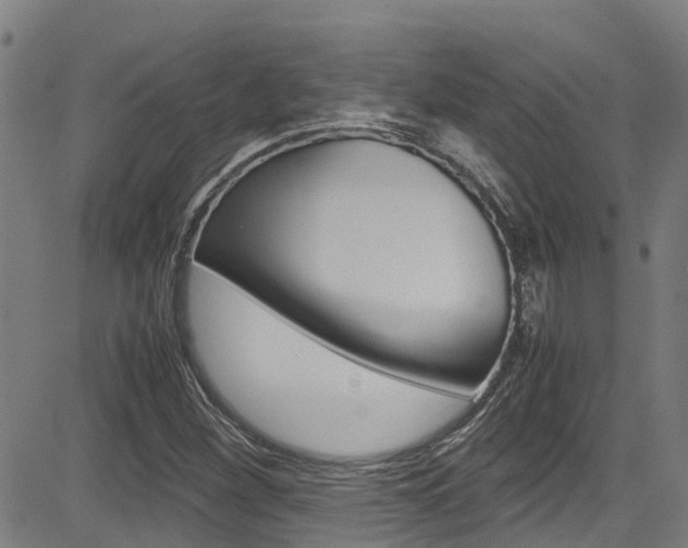 X0000083601260200702090857