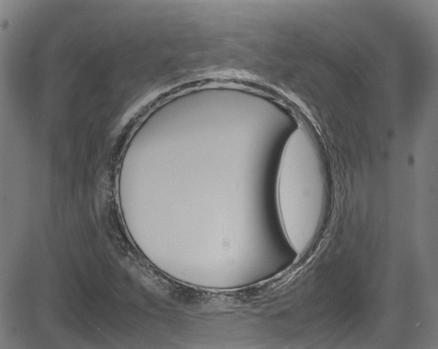 X0000083601263200702090857