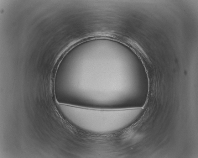 X0000083601268200702090857