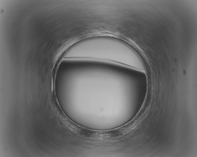 X0000083601269200702090857