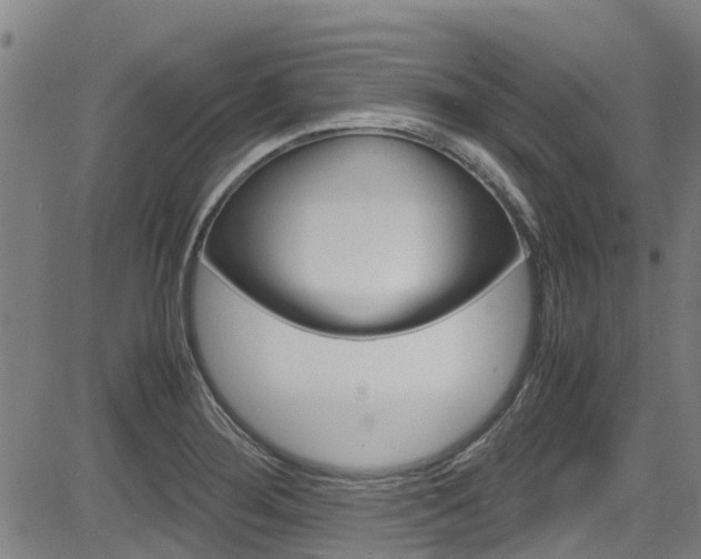 X0000083601276200702090857