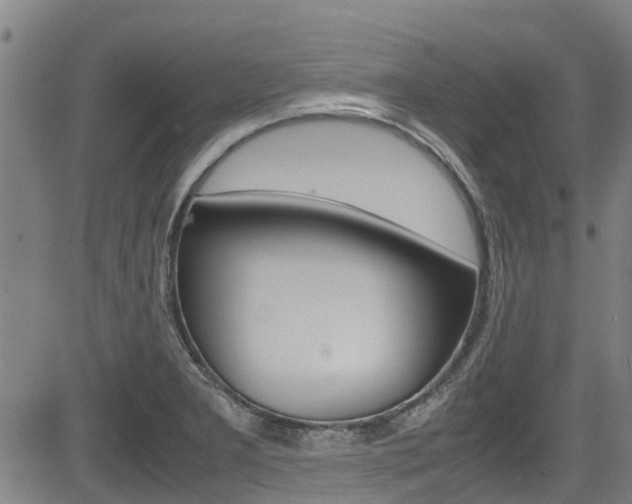 X0000083601277200702090857