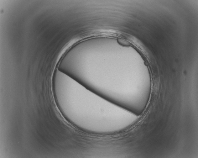 X0000083601283200702090857