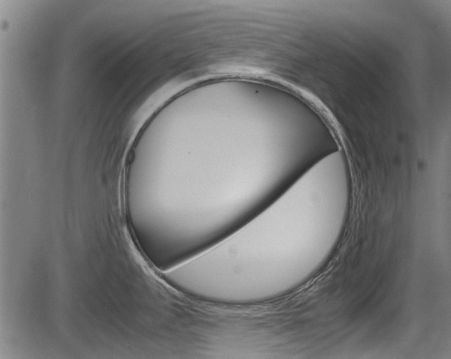 X0000083601295200702090857