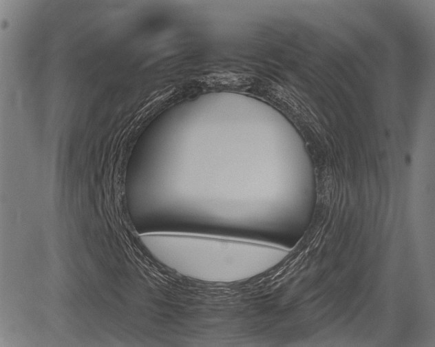 X0000083601297200702090856