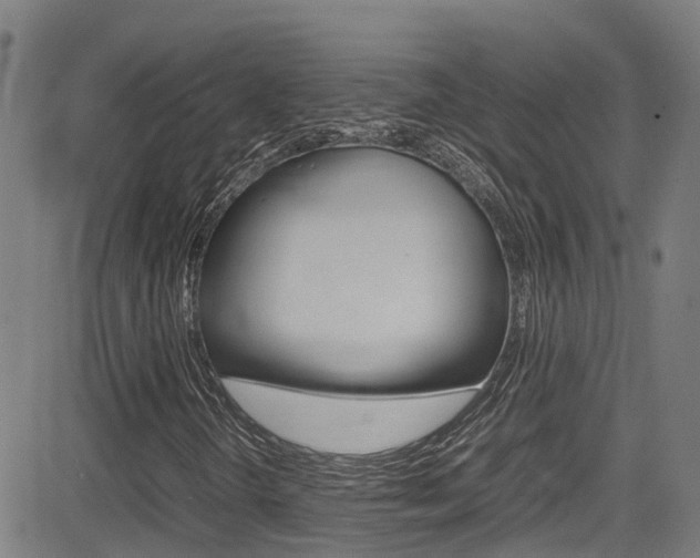 X0000083601298200702090856