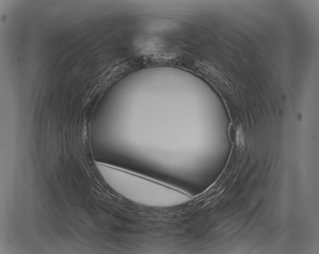 X0000083601299200702090856