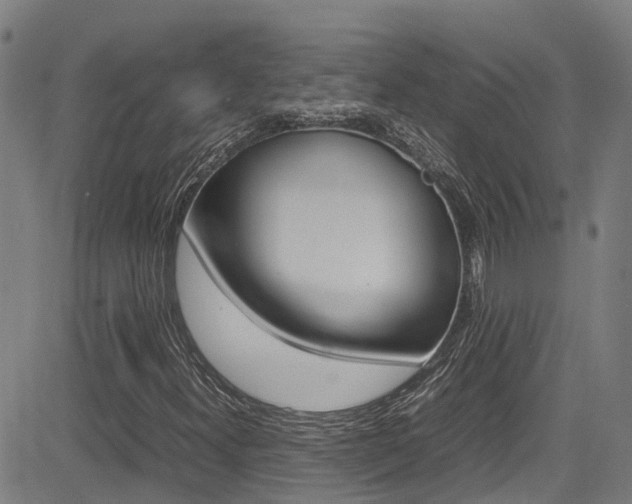 X0000083601300200702090856