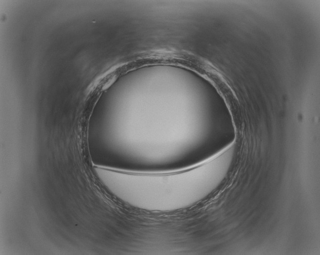 X0000083601304200702090856