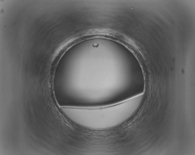 X0000083601312200702090856