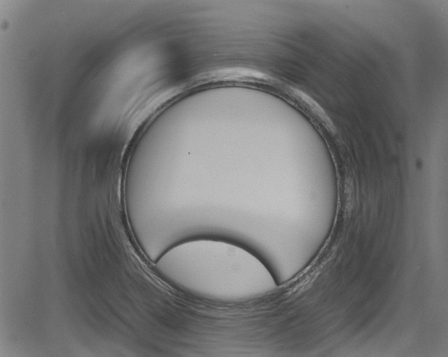 X0000083601322200702090857