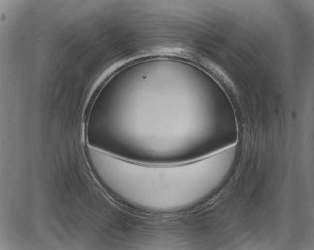 X0000083601324200702090857