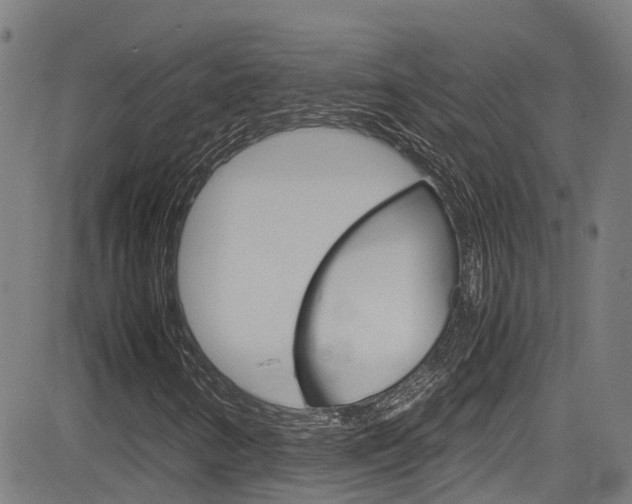 X0000083601346200702090856