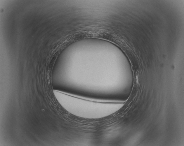 X0000083601347200702090856