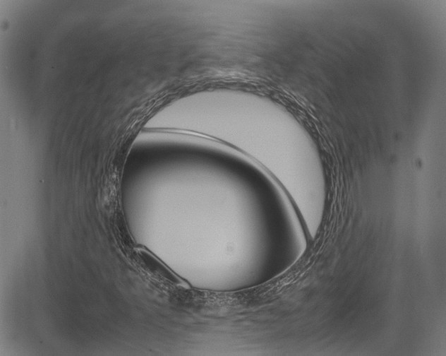 X0000083601349200702090856