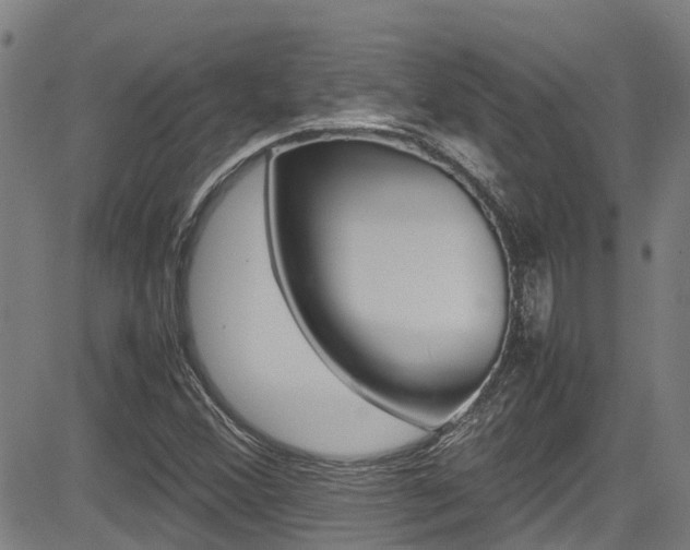 X0000083601356200702090856