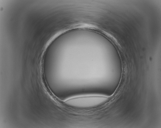 X0000083601375200702090856