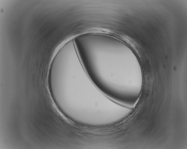 X0000083601379200702090856