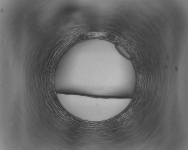 X0000083601393200702090855
