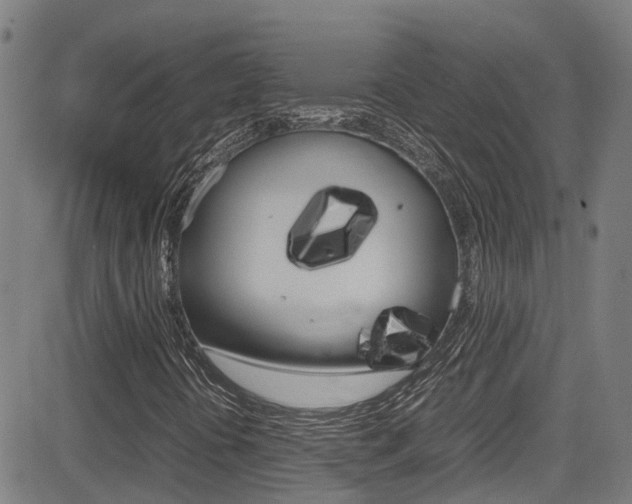 X0000083601394200702090855