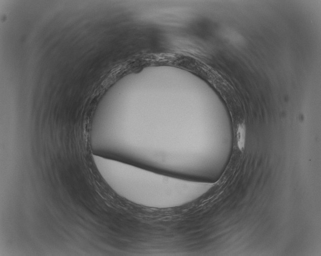 X0000083601395200702090855