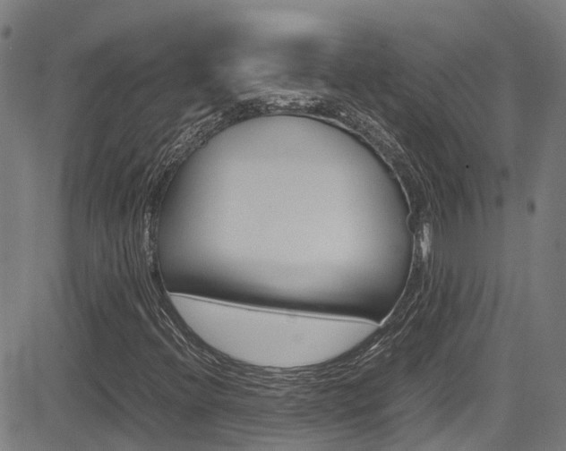 X0000083601396200702090855