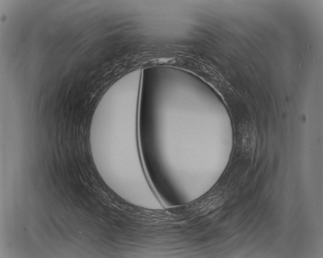 X0000083601442200702090855
