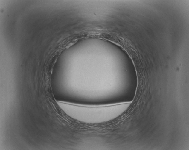 X0000083601445200702090854