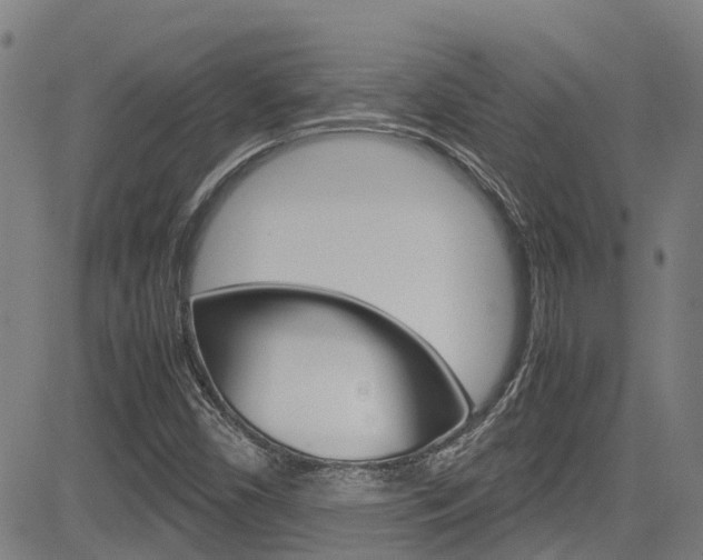 X0000083601450200702090854