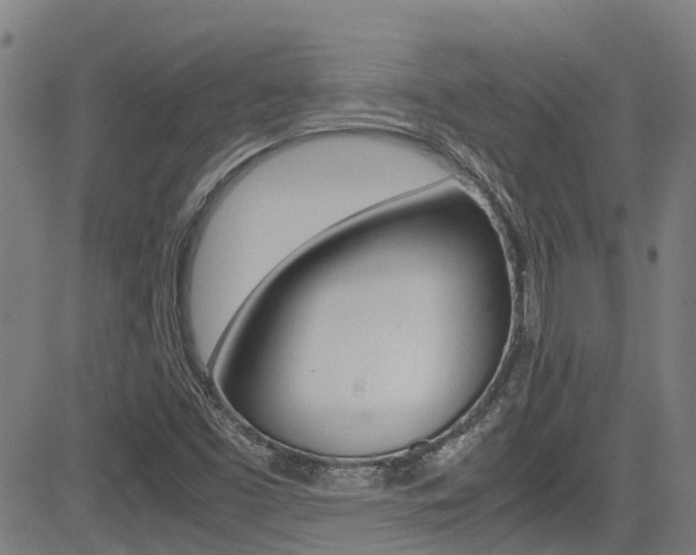 X0000083601453200702090854