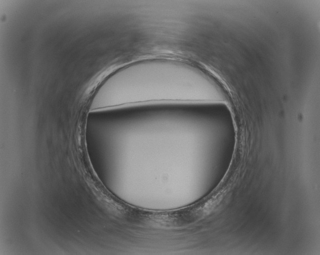 X0000083601455200702090854