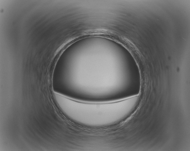 X0000083601457200702090854