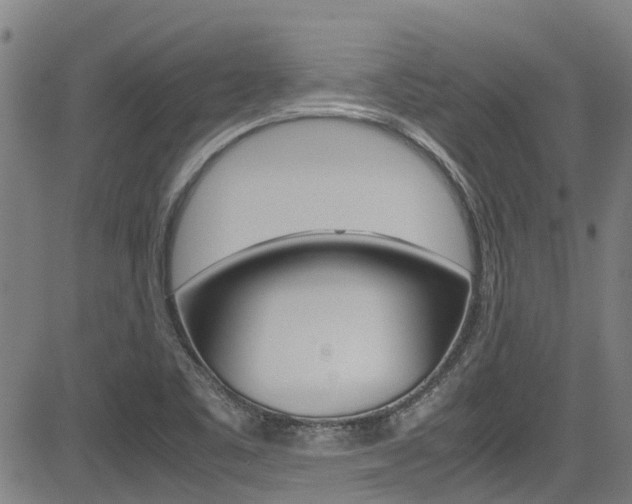 X0000083601461200702090854