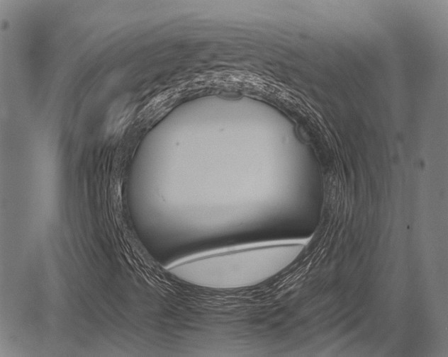 X0000083601489200702090853