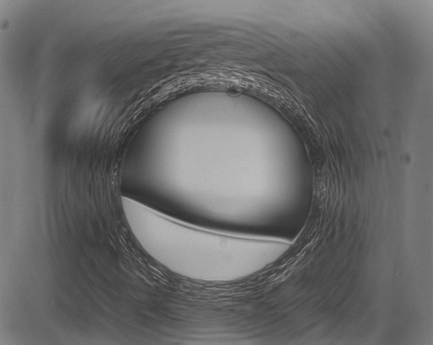 X0000083601490200702090853