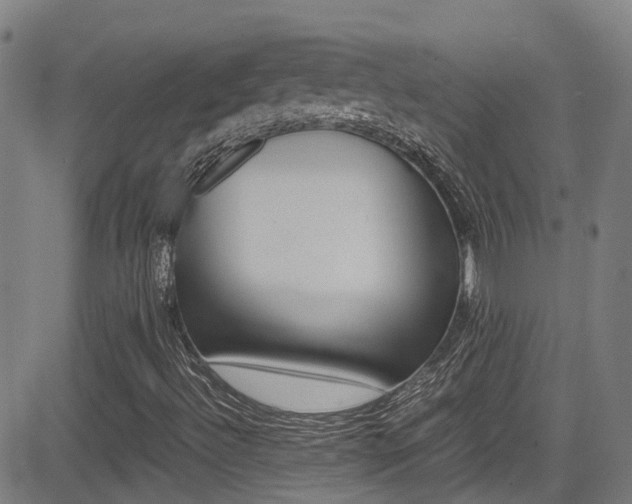 X0000083601492200702090853