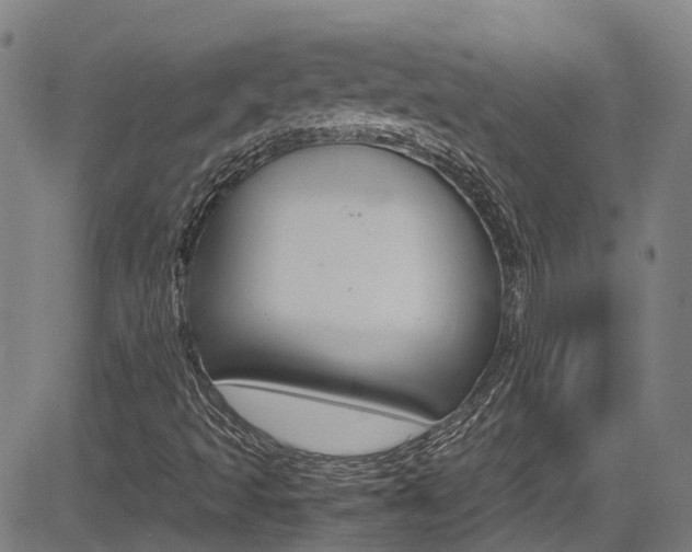 X0000083601493200702090853