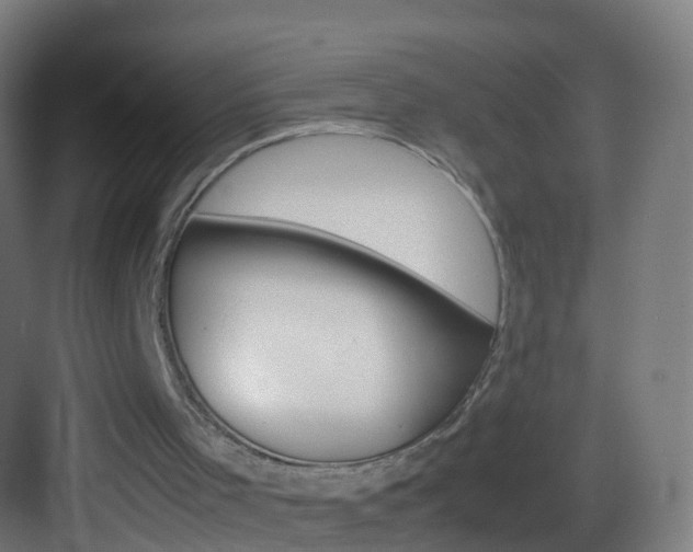 X0000083600001200702091232