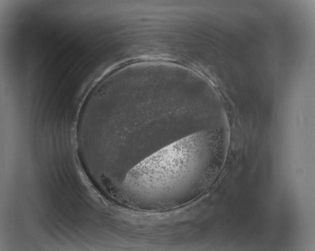 X0000083600002200702091232