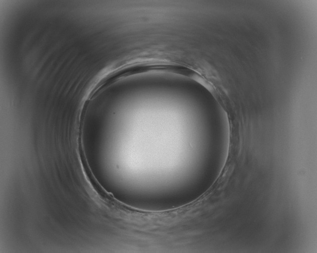 X0000083600003200702091232