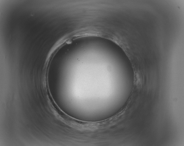 X0000083600004200702091232