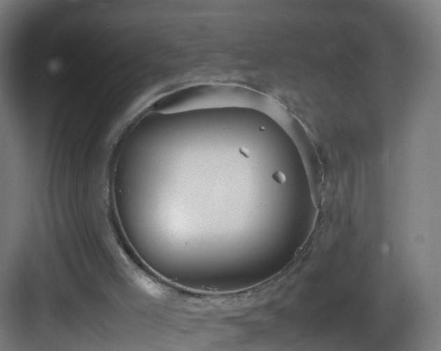 X0000083600005200702091232