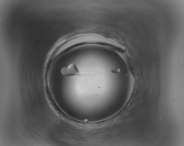 X0000083600006200702091232