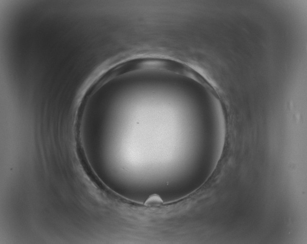 X0000083600007200702091232