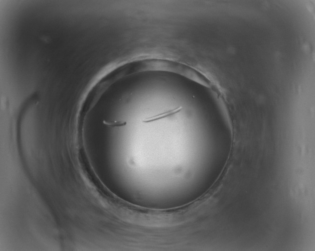 X0000083600008200702091232