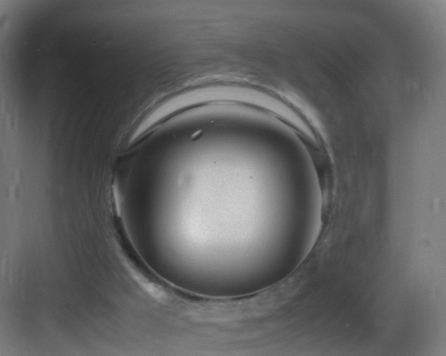 X0000083600009200702091232