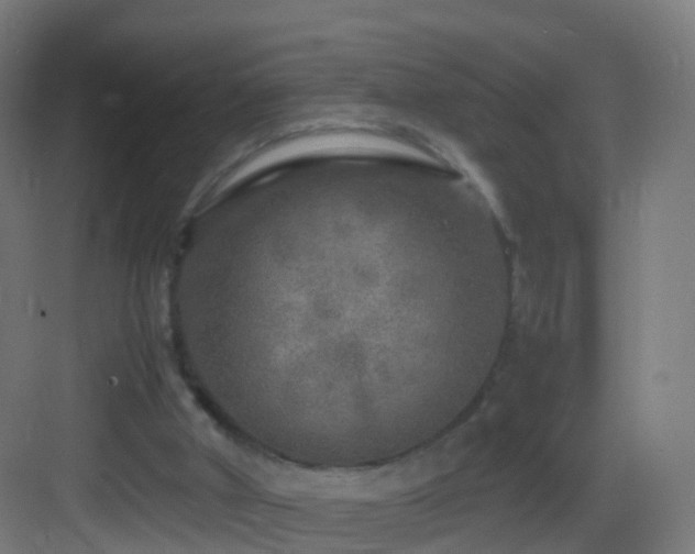 X0000083600010200702091232