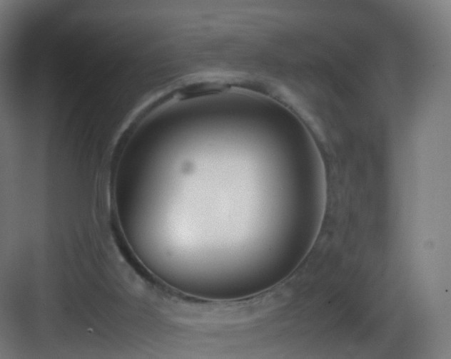 X0000083600011200702091232